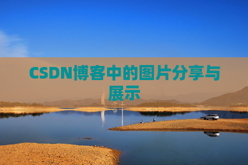 CSDN博客中的图片分享与展示